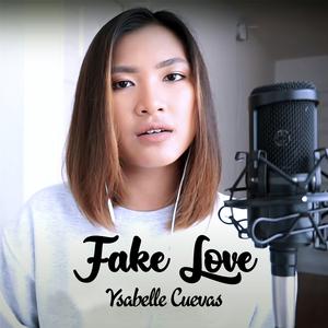 BTS - Fake Love(版本二) （降5半音）