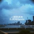 一样的月光（DJ阿布Remix）