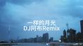 一样的月光（DJ阿布Remix）专辑