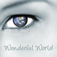 Wonderful World