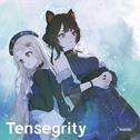 Tensegrity (Special Edition)专辑