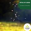 Pleasing Snapping Nature Music - Flames Overflow Now