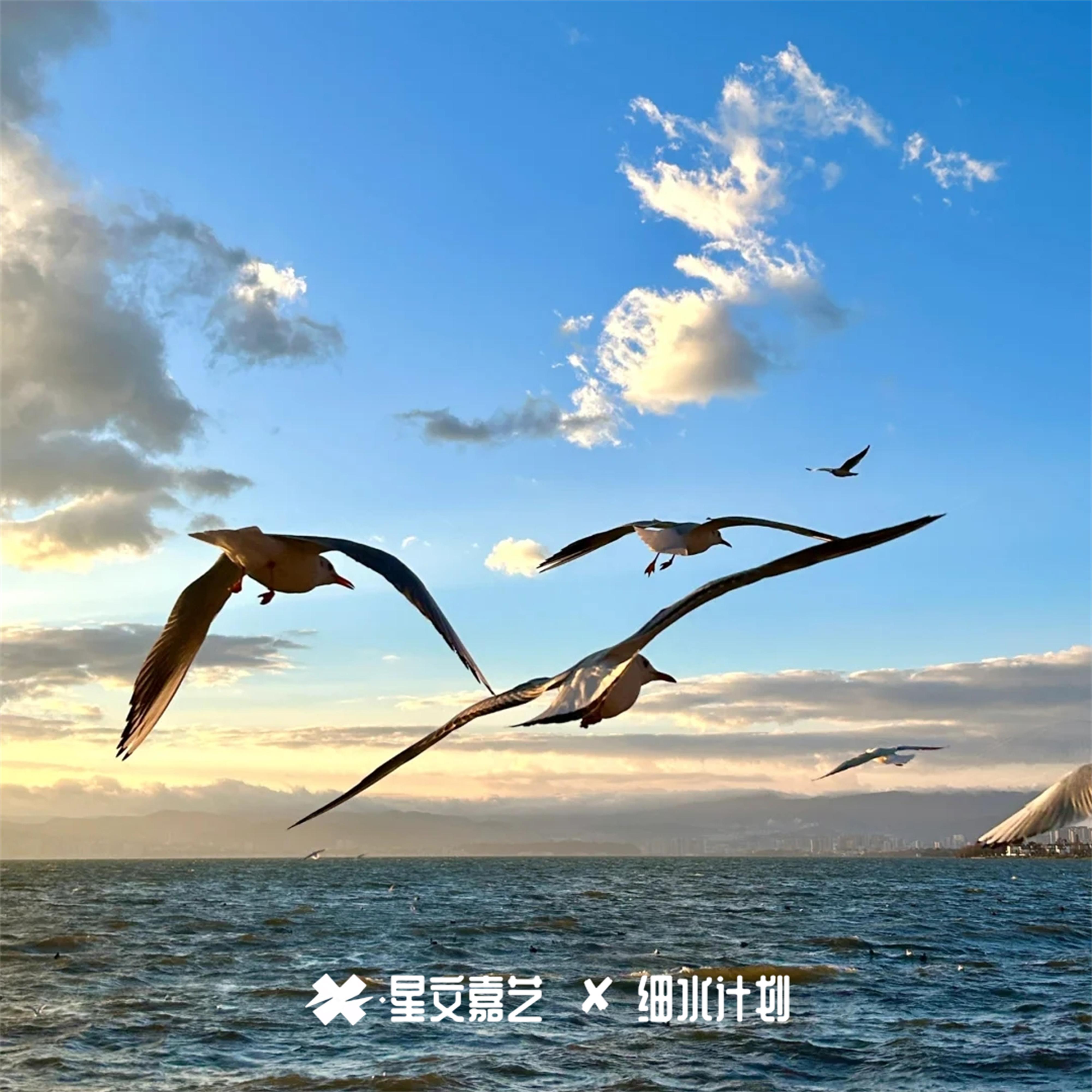 太空漫步迷幻系列V11