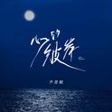 心的彼岸专辑