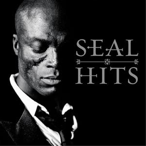 Seal - Kiss from a Rose (karaoke) 带和声伴奏