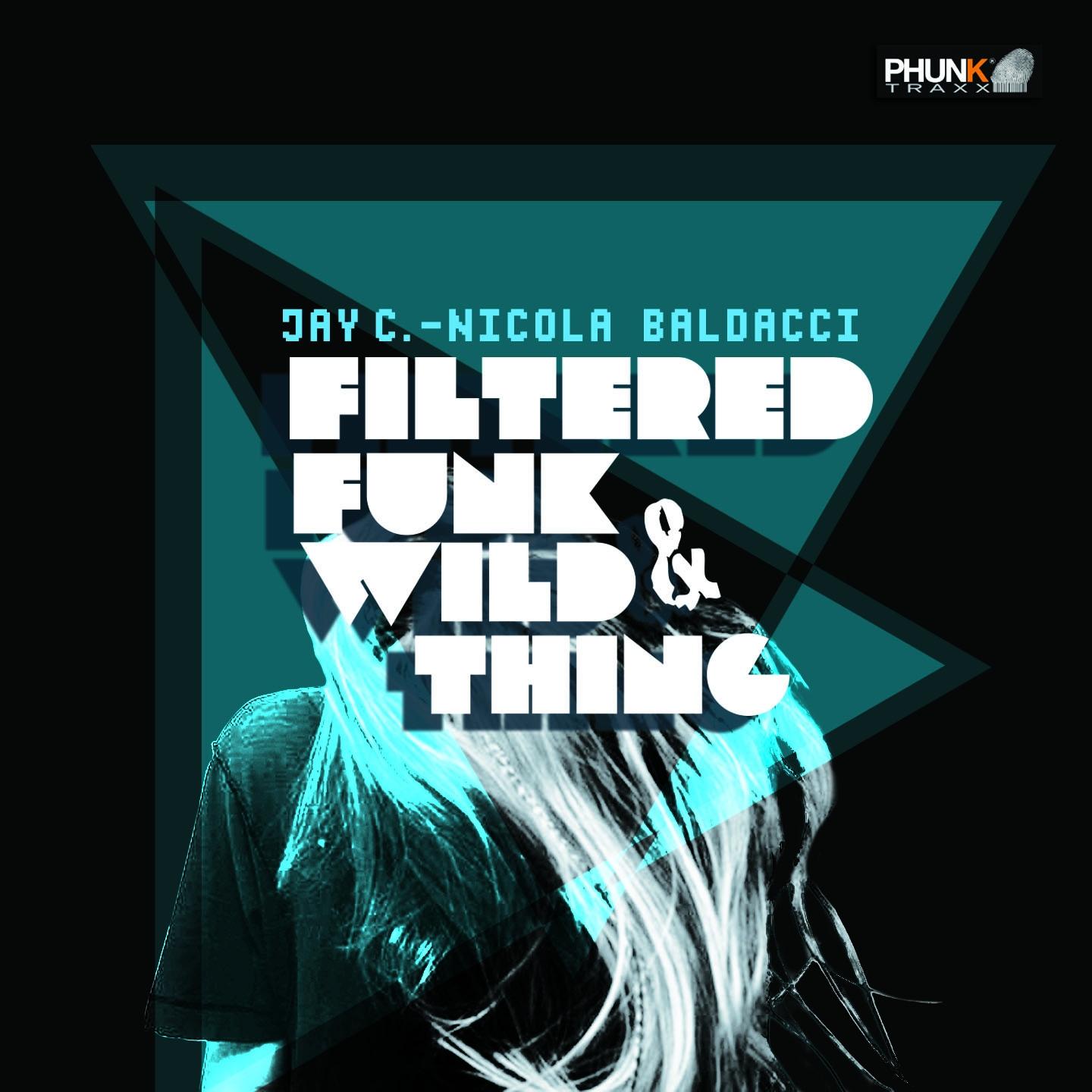 Filtered Funk / Wild Thing