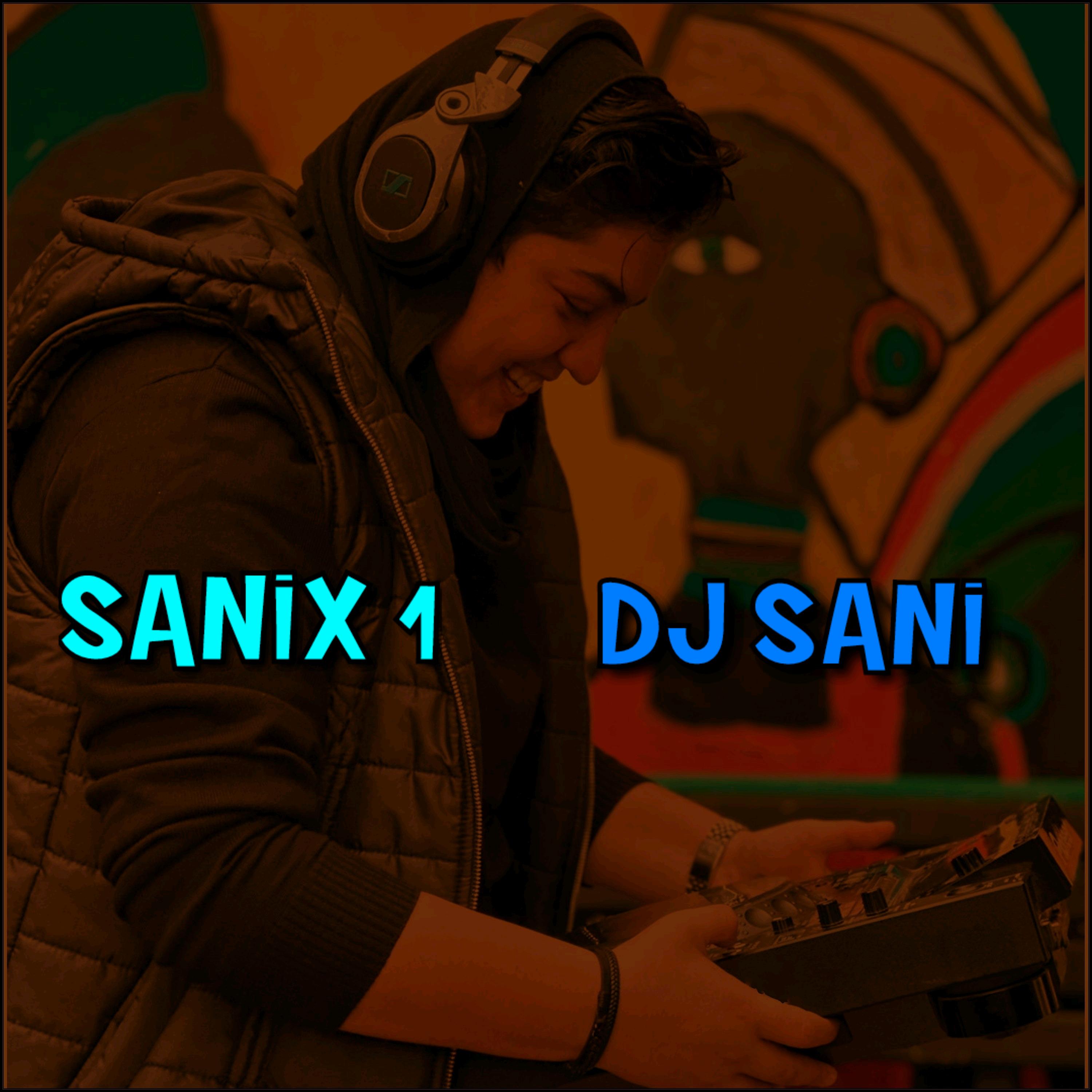 Sanix 1