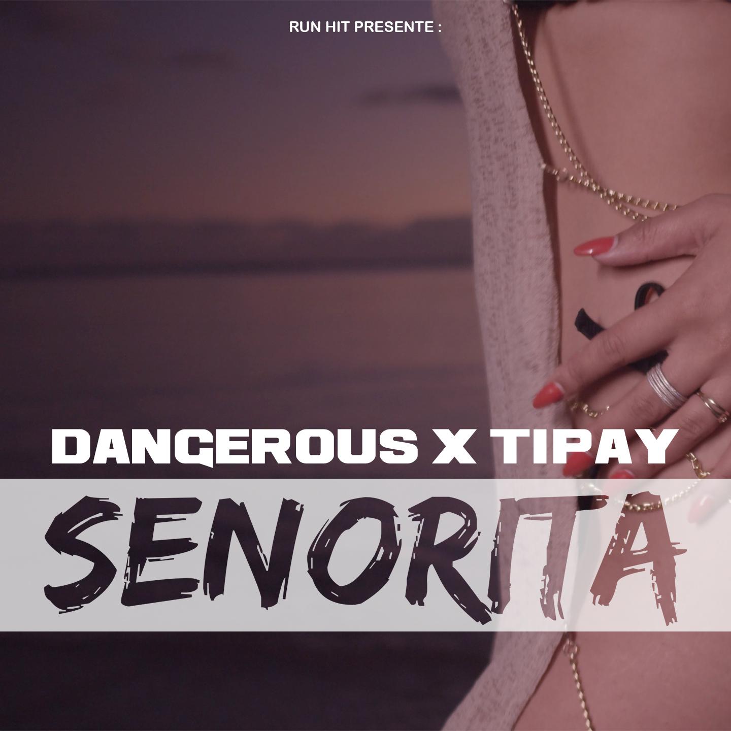 Dangerous - Senorita (Extend)