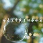 你是空中掉下的小雨滴专辑