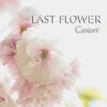 Last Flower