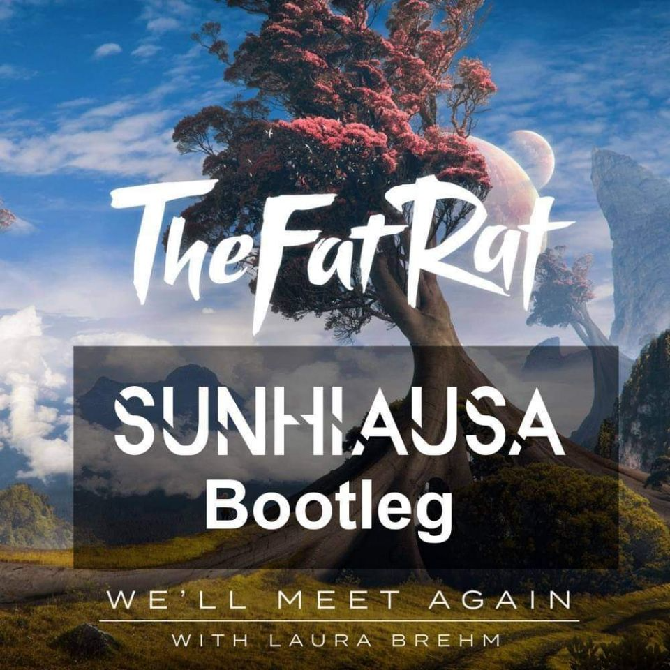 We'll Meet Again (Sunhiausa Bootleg)