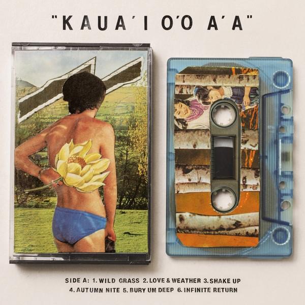 KAUA'I O'O A'A  