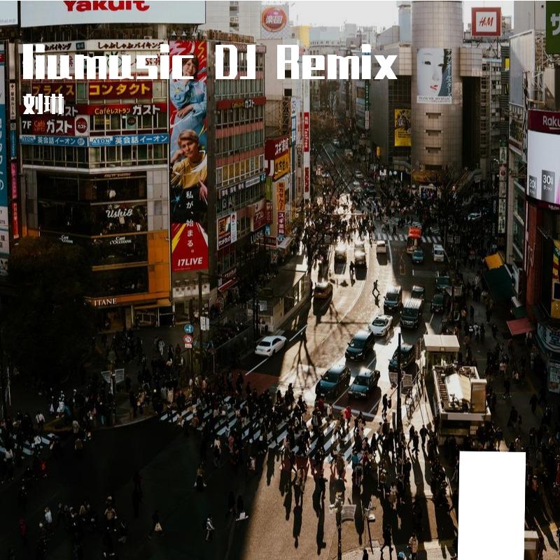 Ex_Lzz-life 【liumusic Remix改编版】（刘琳 remix）