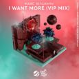 I Want More (VIP Mix)