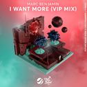 I Want More (VIP Mix)专辑