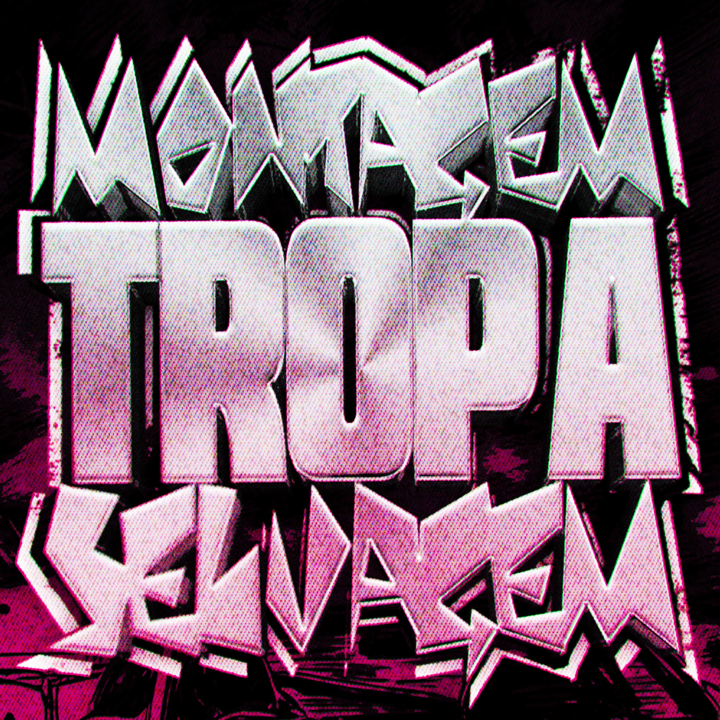 MONTAGEM TROPA SELVAGEM (Slowed)
