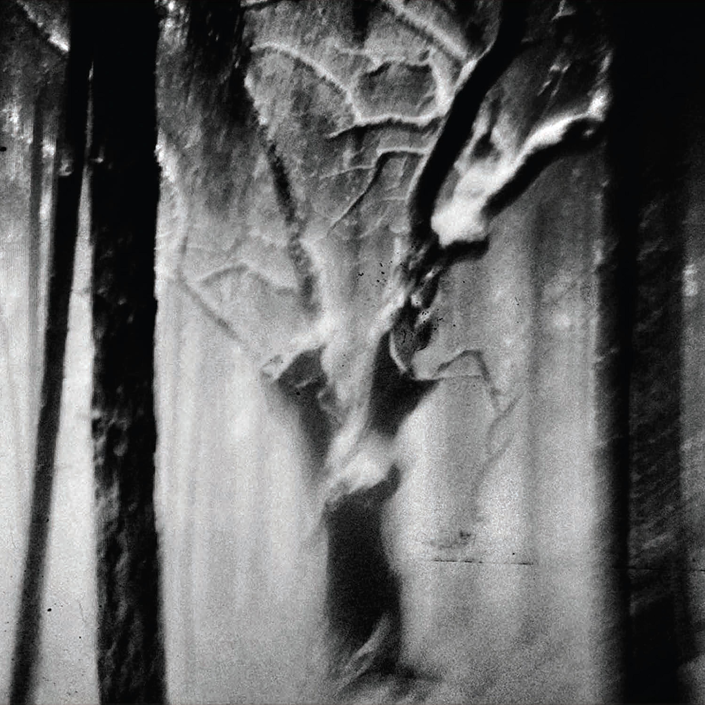 Paysages Sans Âge III