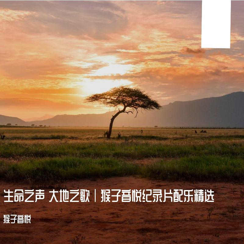 生命之声 大地之歌｜猴子音悦纪录片配乐精选