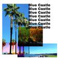 Blue Castle