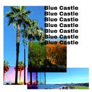 Blue Castle