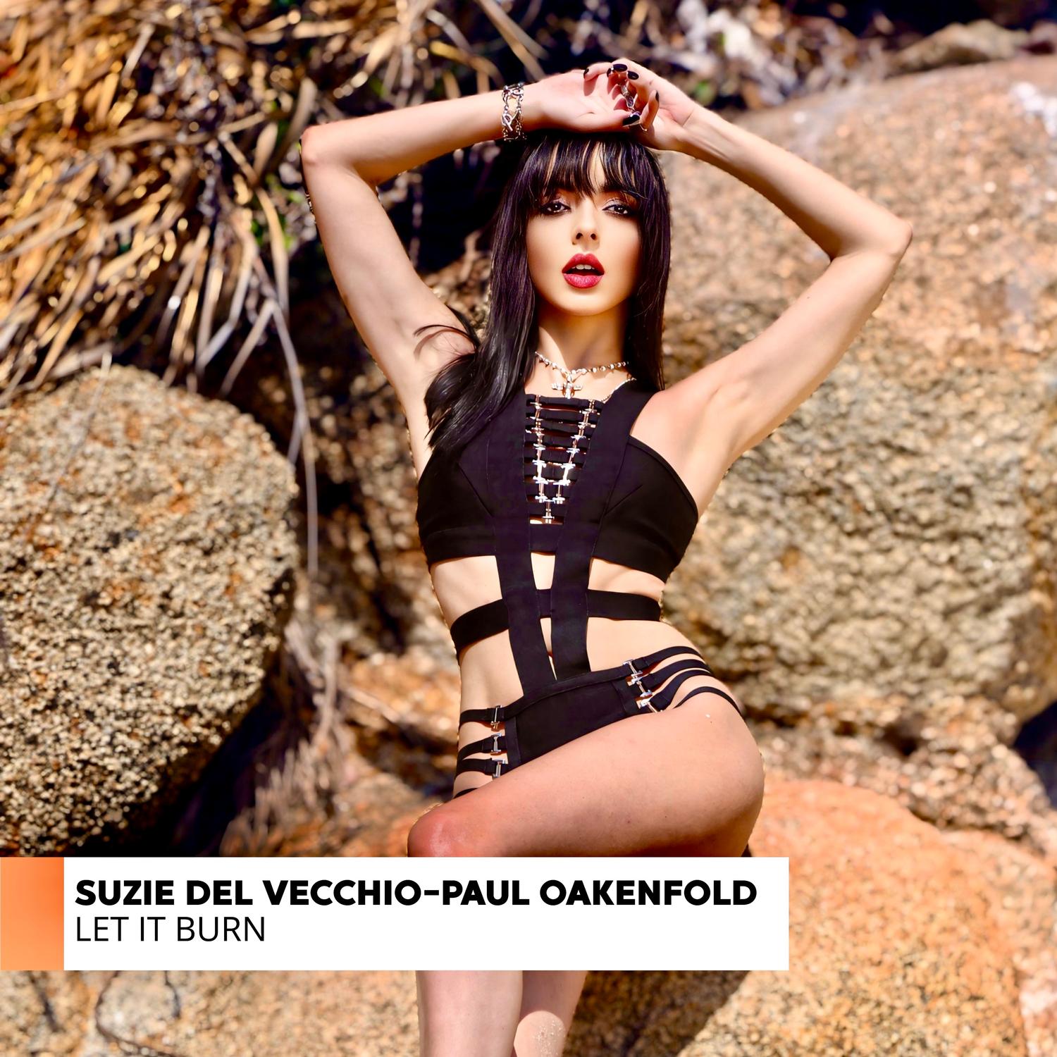 Let It Burn (RLTYHVKR Extended Remix)