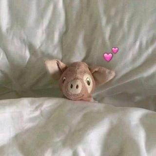 睡觉时听的治愈音乐