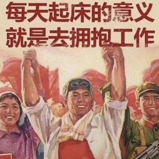 工作每天都会伤害我，但我学会了以德报怨