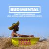Rudimental - Toast to our Differences (Remix)