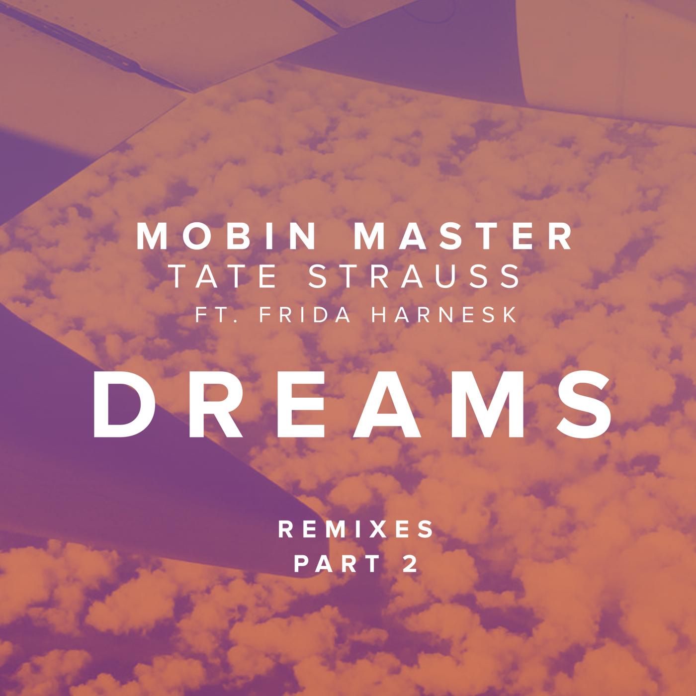 Dreams ft Frida Harnesk (Part 2)