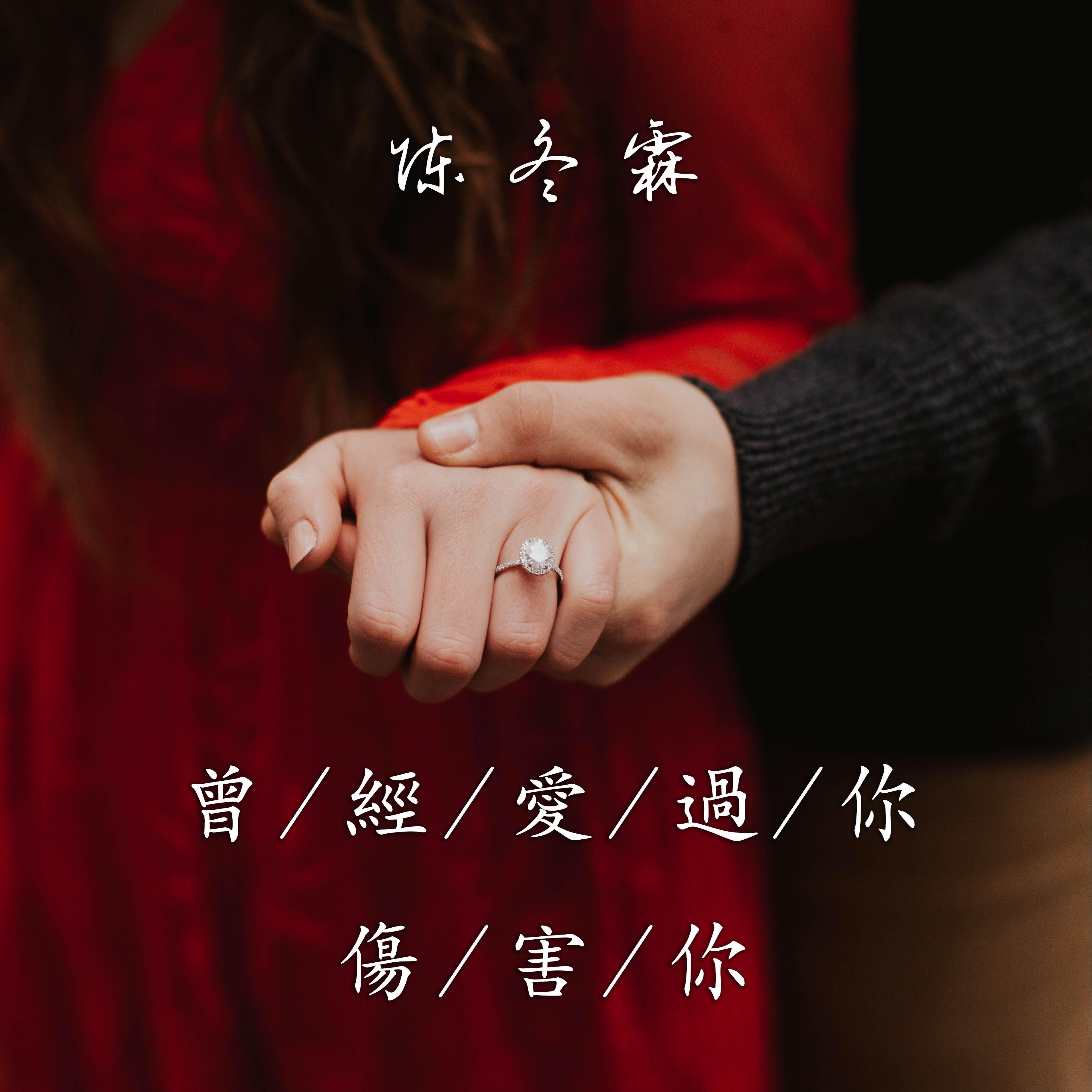 曾经爱过你/伤害你