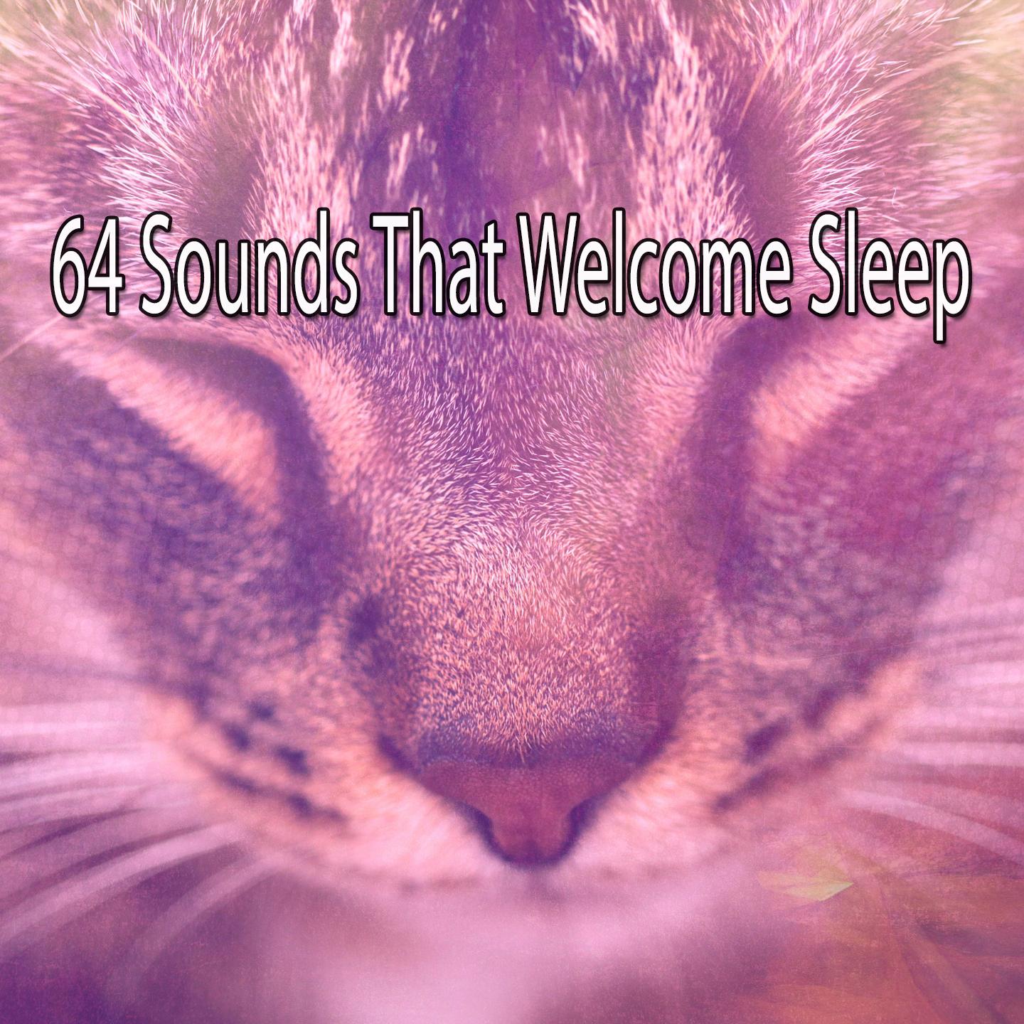 64 Sounds That Welcome Sleep专辑