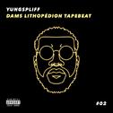 Dams Lithopédion Tapebeat, Vol. 2专辑