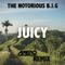 Juicy (Axero Remix)专辑