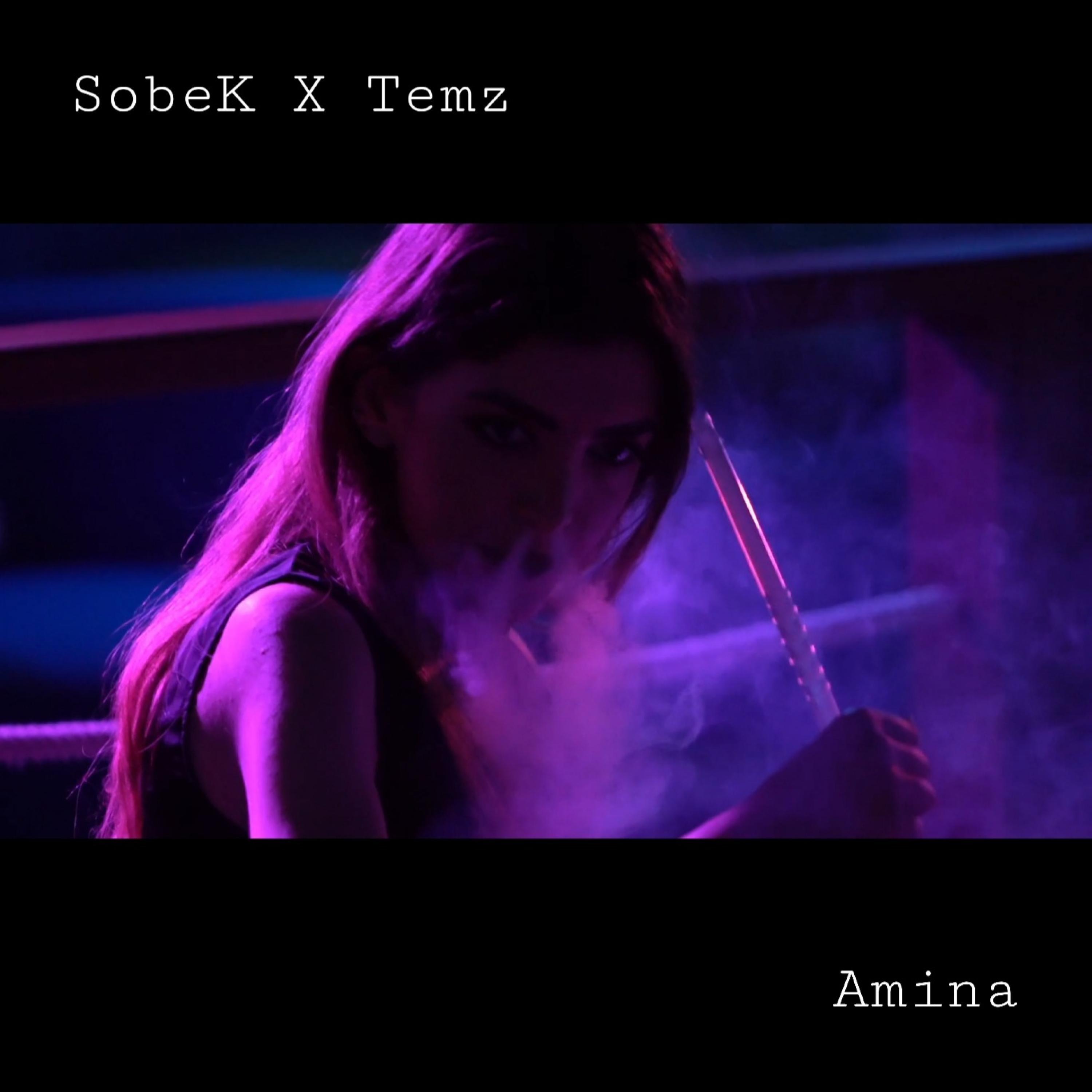 Amina (feat. Temz)