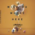 Wish You Where Here (Jason.c Extended Mix)