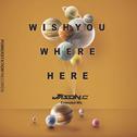Wish You Where Here (Jason.c Extended Mix)专辑