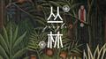 丛林专辑