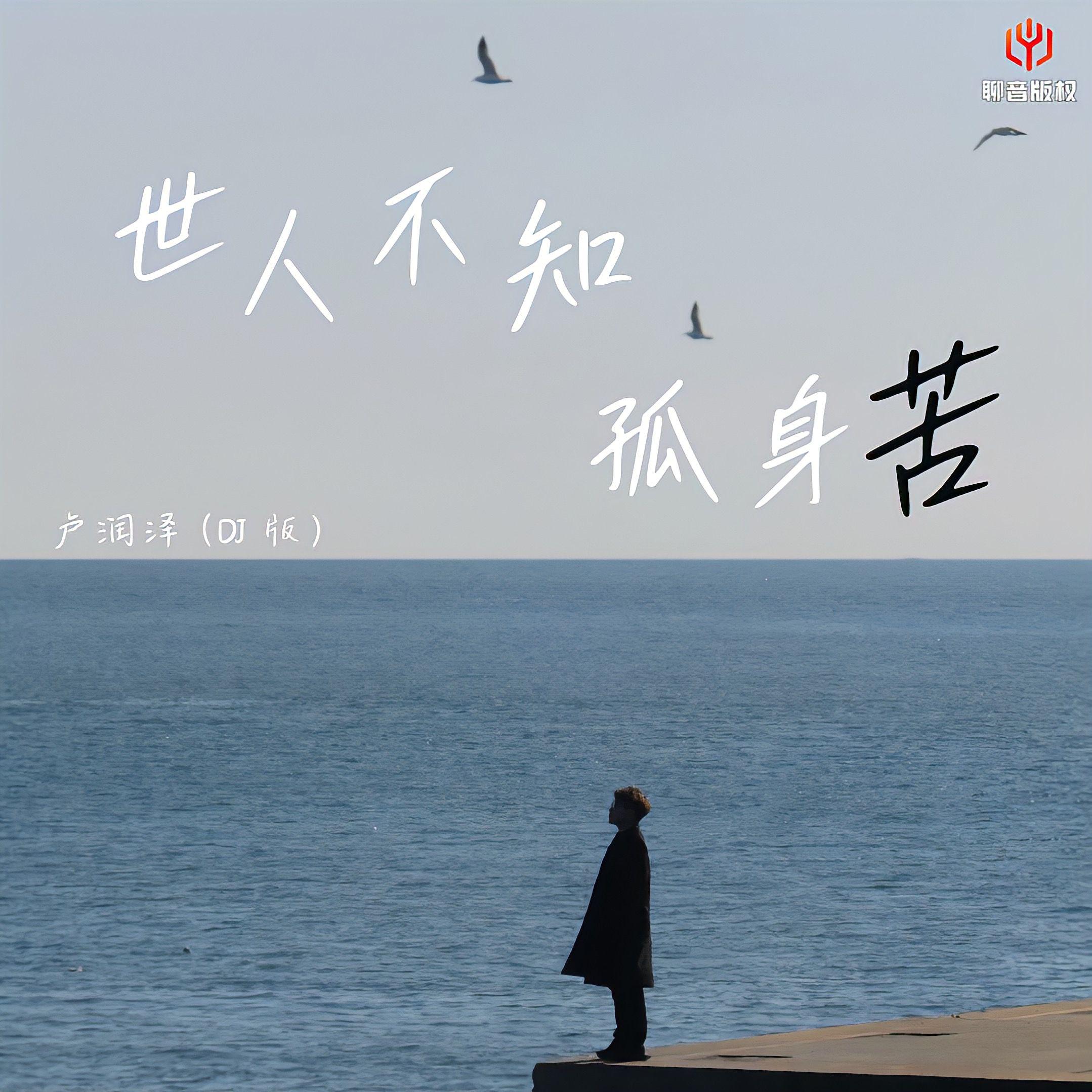 世人不知孤身苦(DJ豪大大版)专辑