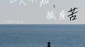 世人不知孤身苦(DJ豪大大版)专辑