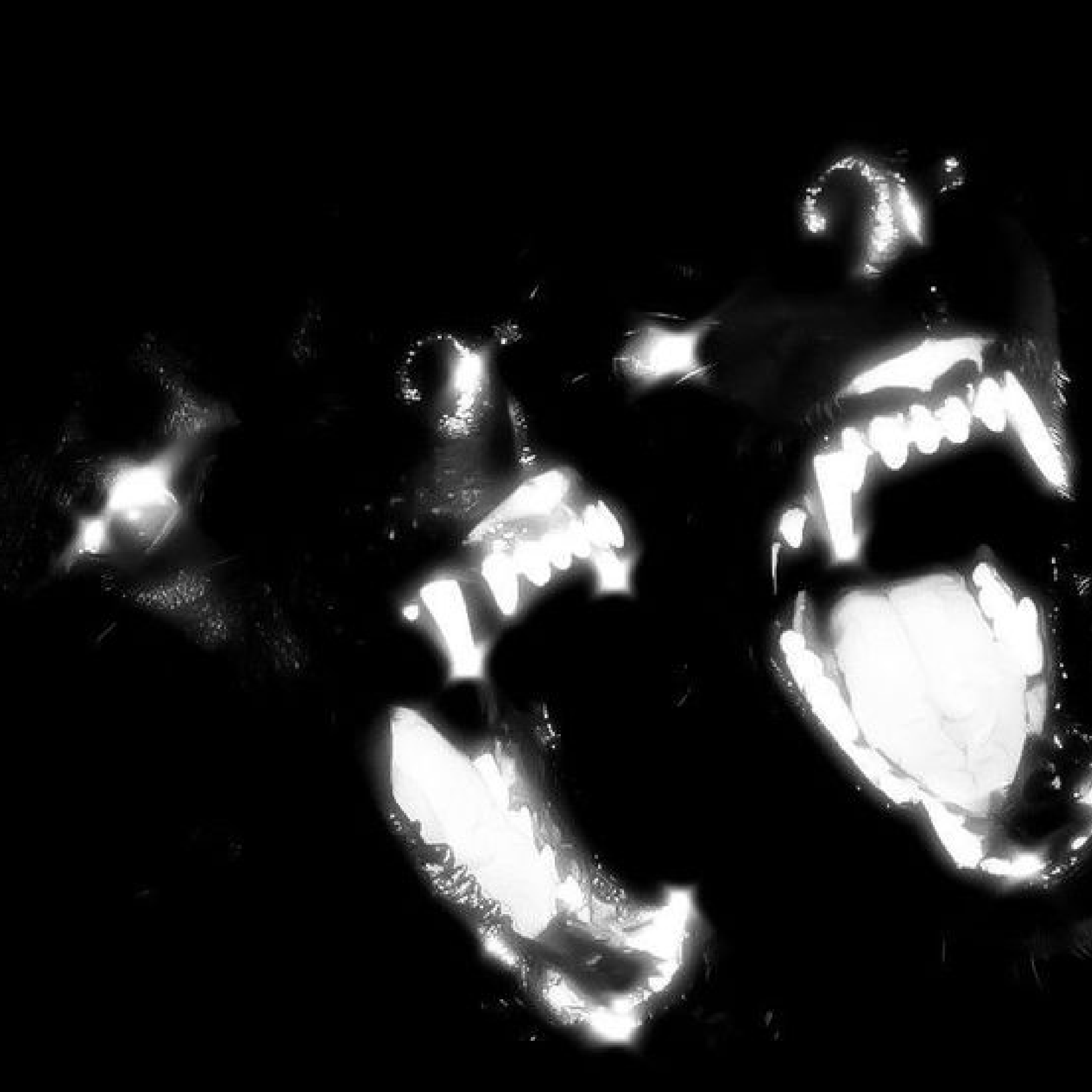 [Free] †SPIT† - Club x House type beat