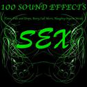 100 Sex Sound Effects Tones, Fills and Drops, Booty Call Alerts, Naughty Orgasm Words专辑