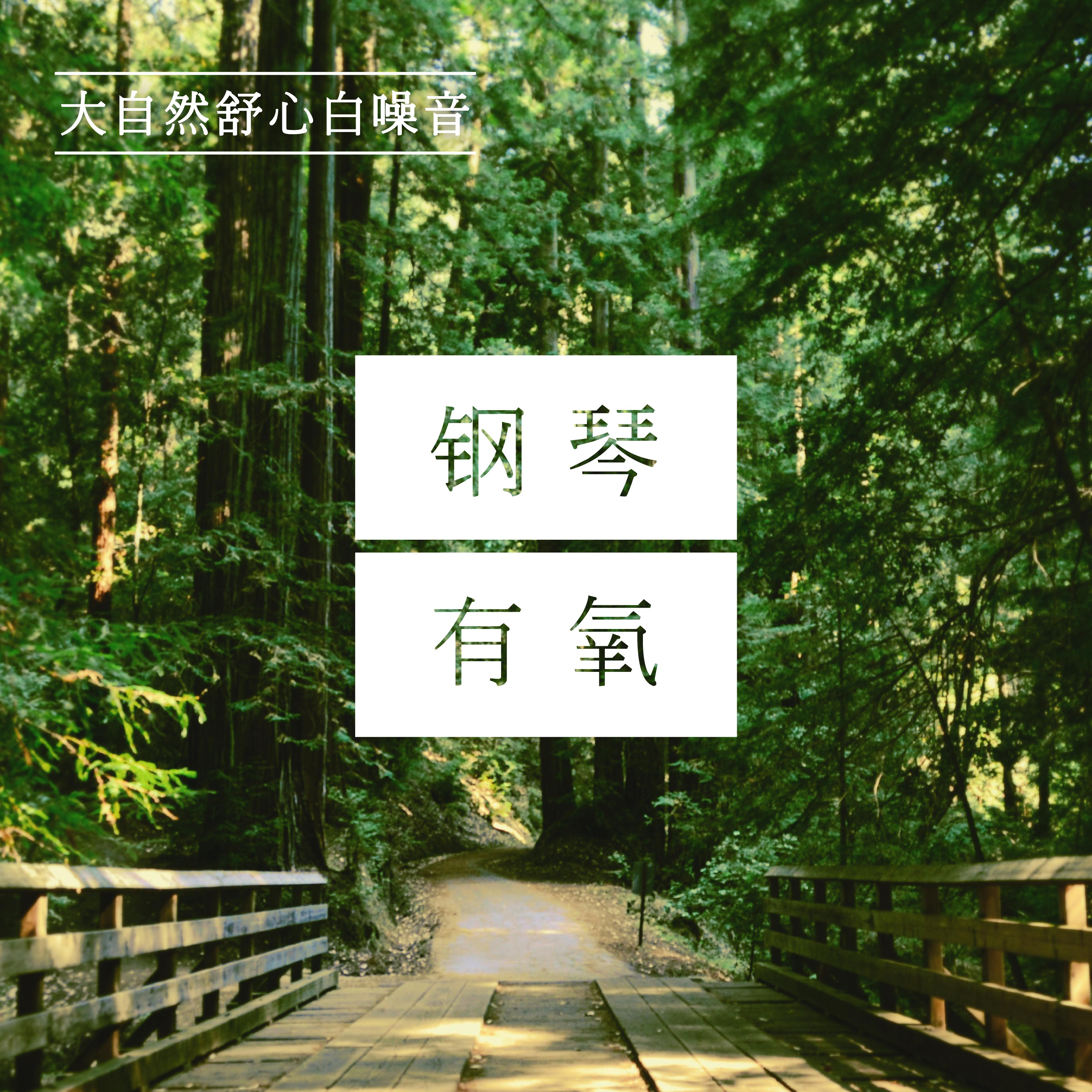 钢琴·有氧 / 大自然舒心白噪音