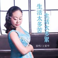 王爱华 - 生活太多苦生活太多累(原版伴奏)