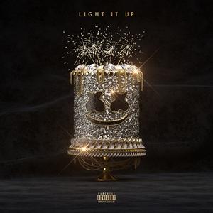 Marshmello - Light It Up (ft. Tyga, Chris Brown) (Official Instrumental) 原版无和声伴奏