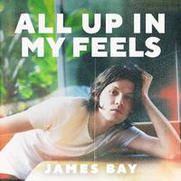 James Bay - Wild Love (piano Instrumental)