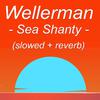 z e r o t o n i n - Wellerman - Sea Shanty (slowed + reverb)