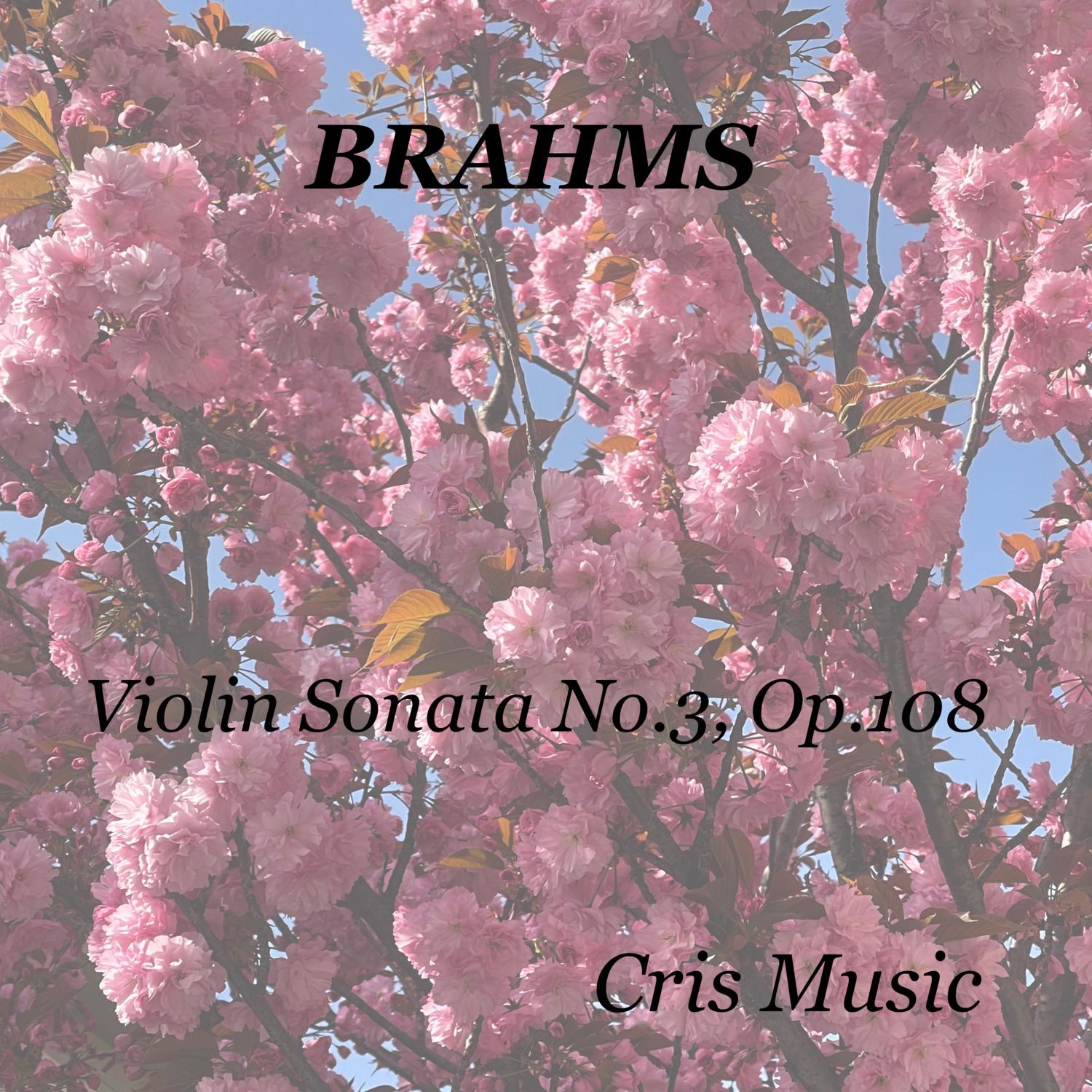 Egon Petri - Brahms: Violin Sonata No.3, Op.108: 1. Allegro