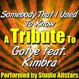 Somebody That I Used to Know (A Tribute to Gotye Feat. Kimbra) - Single