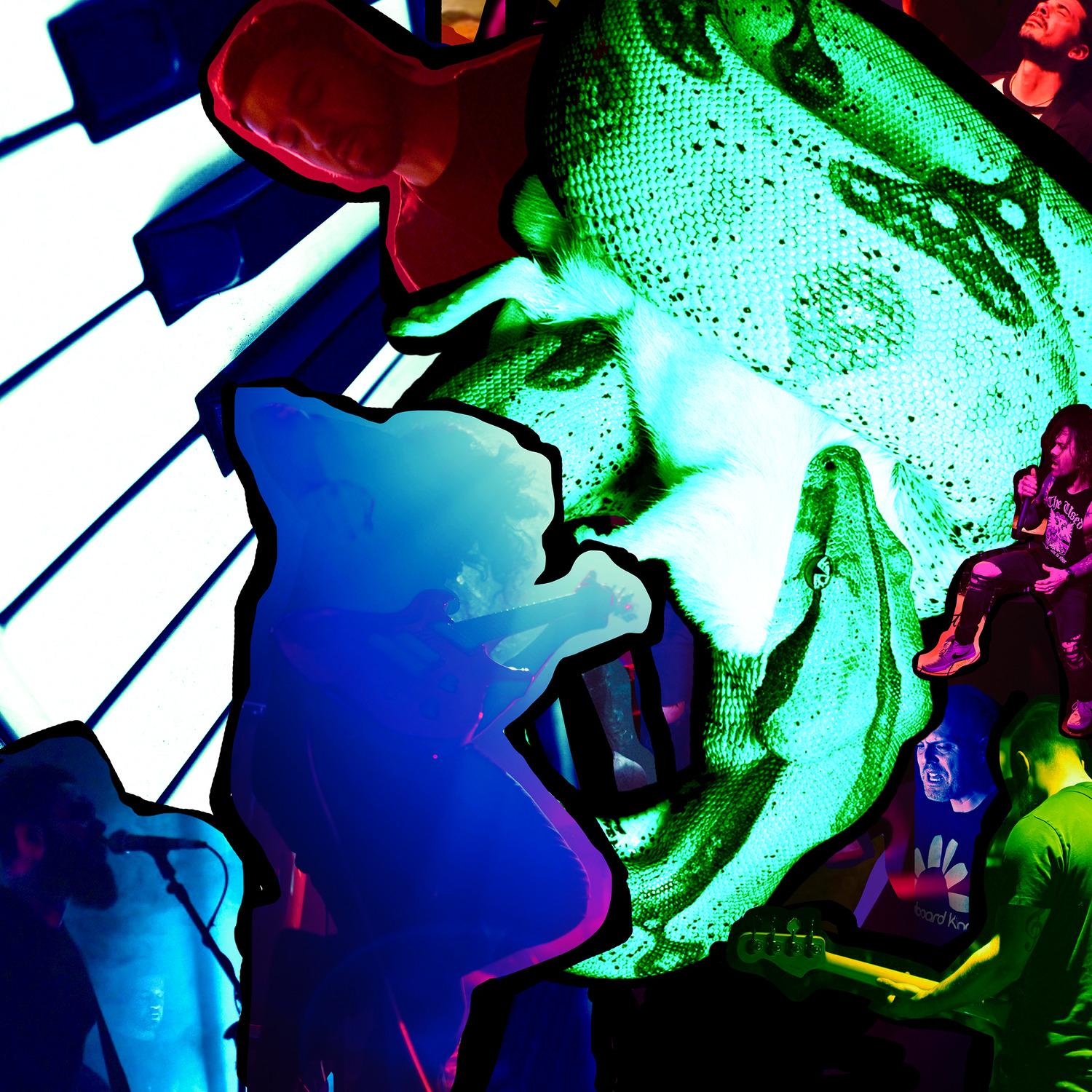 Rats & Snakes (Alternate)