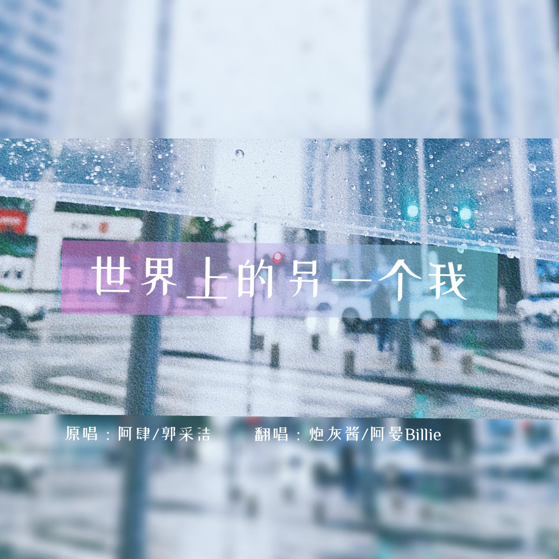 世界上的另一个我